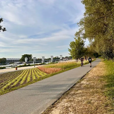 Notting Hill 아파트 제수프